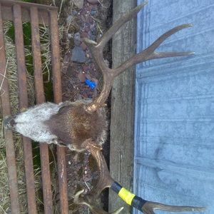 Meet your Posher, Josh